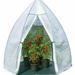 Westmann Namiot zimowy i szklarnia foliowa Avocado White 250x250x250 cm